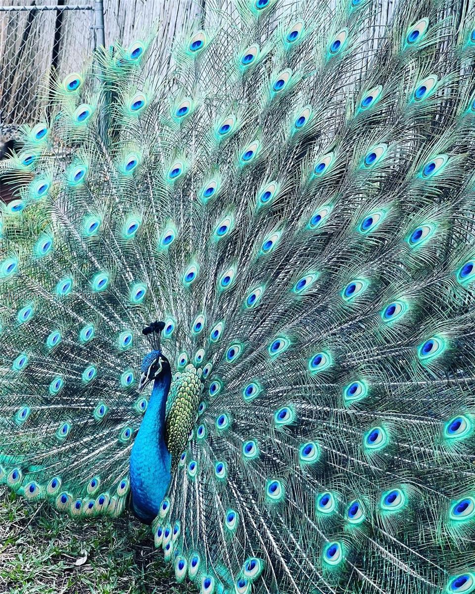 2485 Inagua Ave Miami, FL 33133