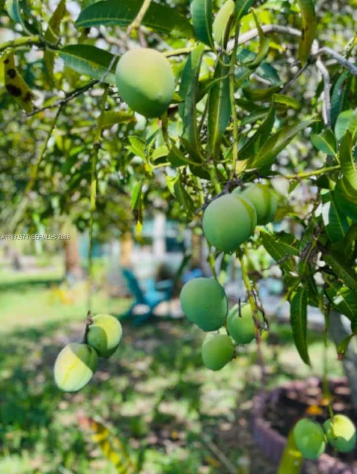 213 N E St Lake Worth, FL 33460