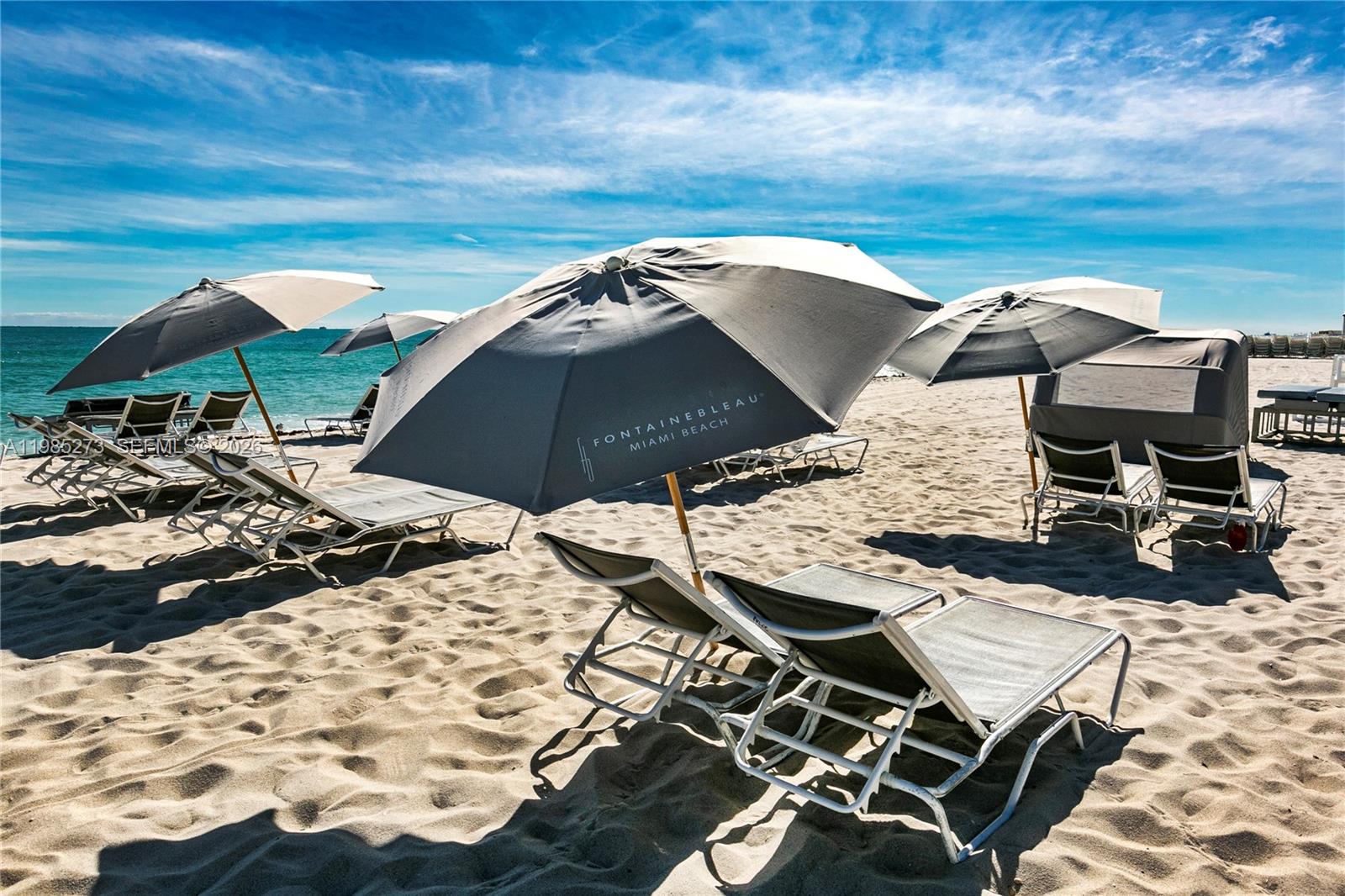 4391 Collins Ave #307 Miami Beach, FL 33140