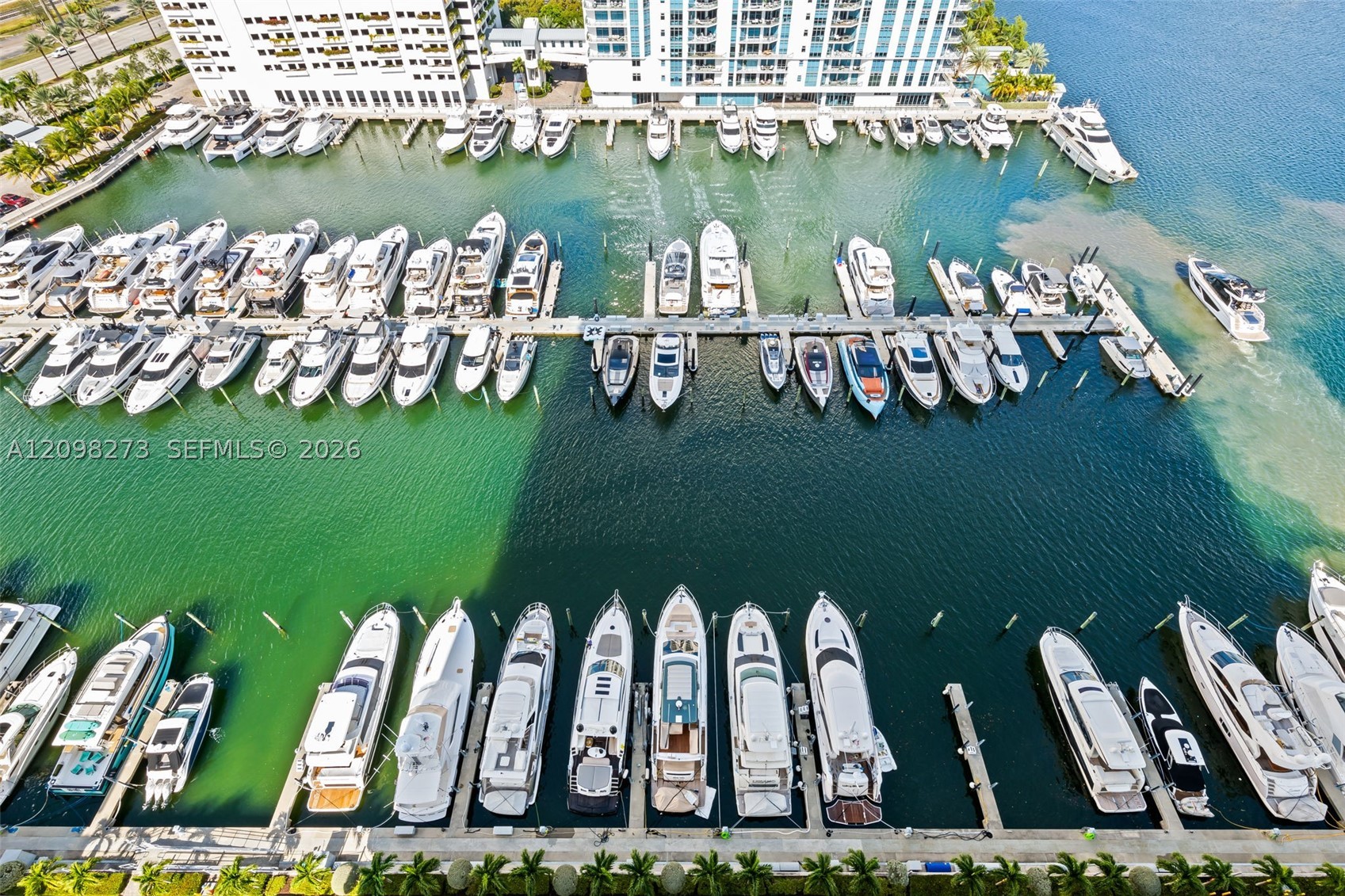 image Marina Palms21