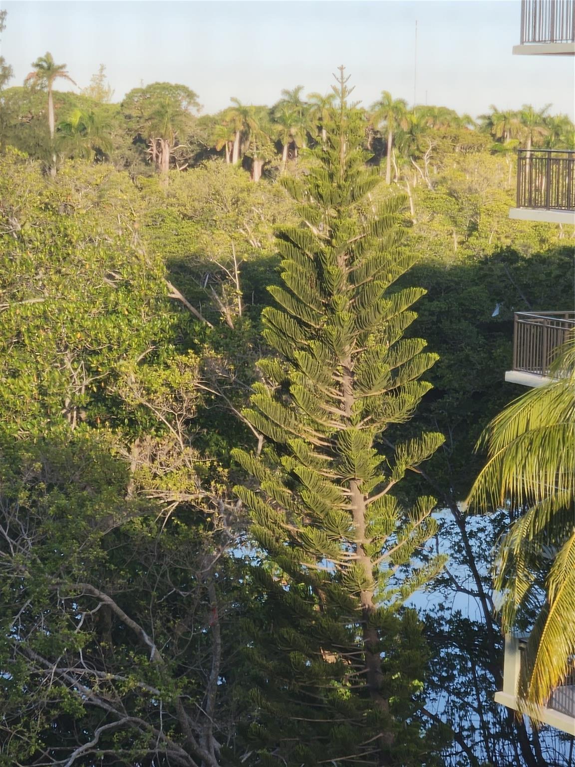 17890 W Dixie Hwy #619,North Miami Beach, FL 33160