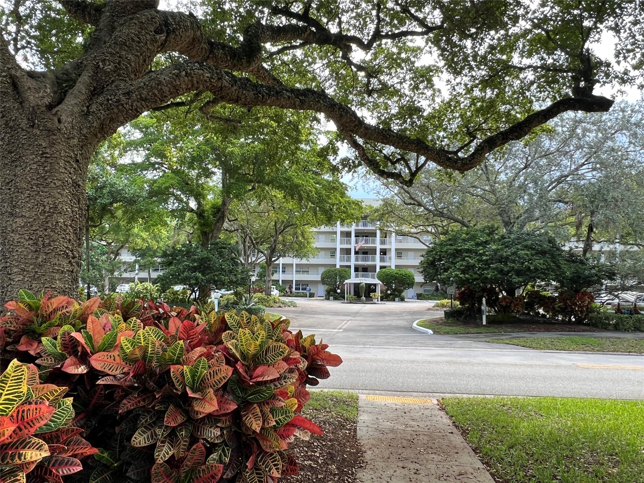 808 Cypress Blvd #504