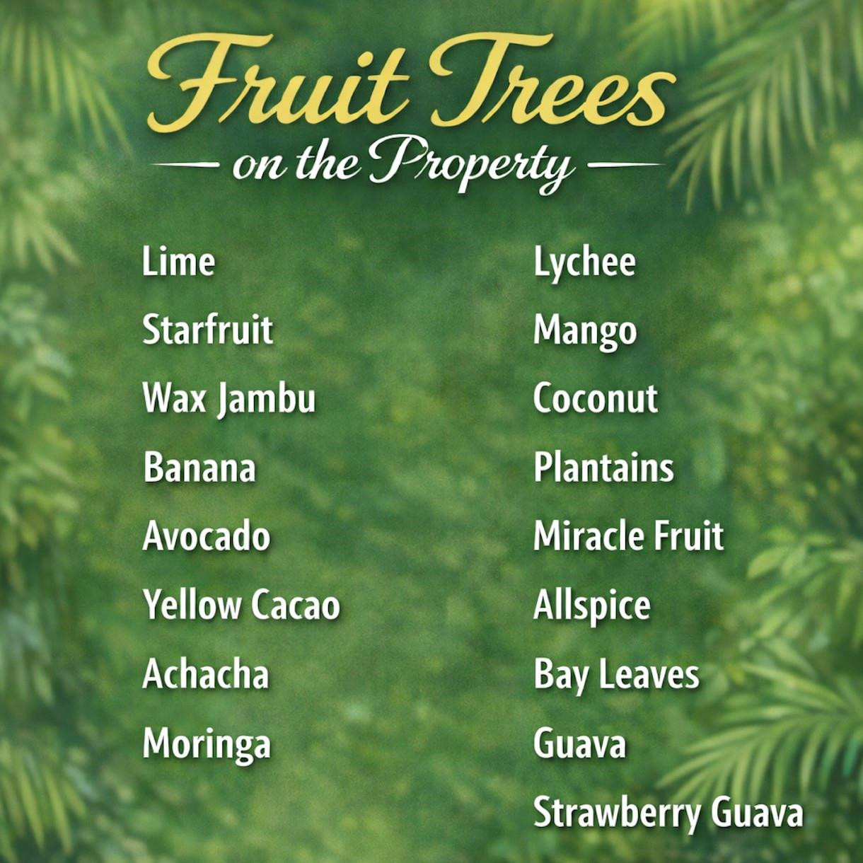 2614 NE 15th Fort Lauderdale, FL 33304