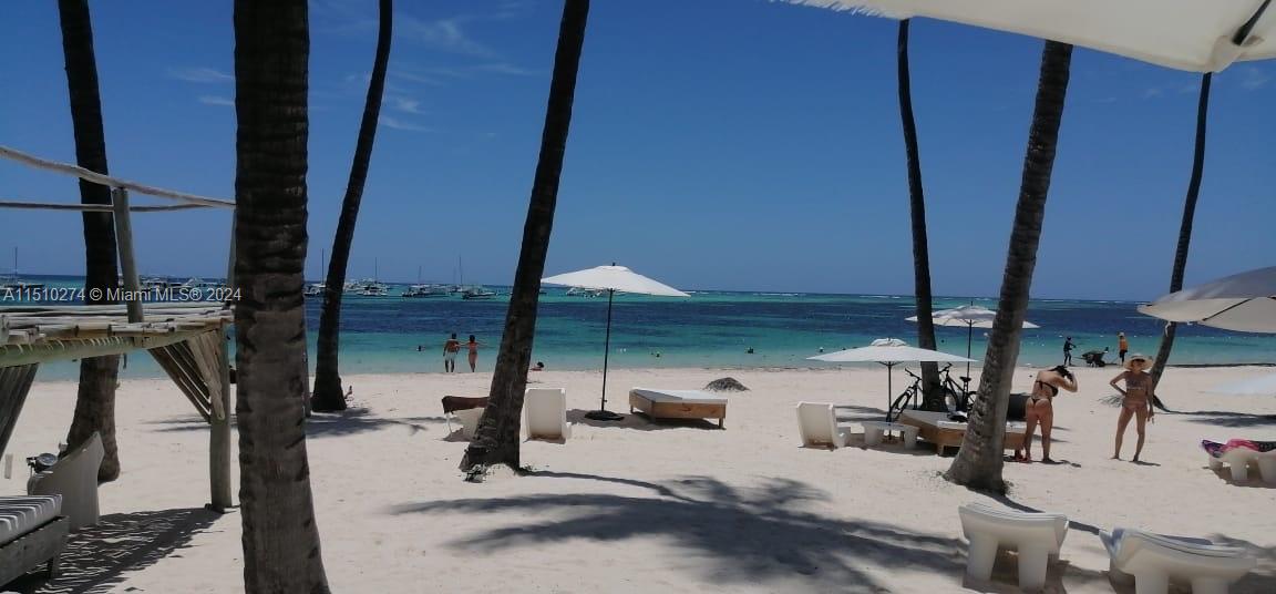 Punta Cana Punta Cana #2