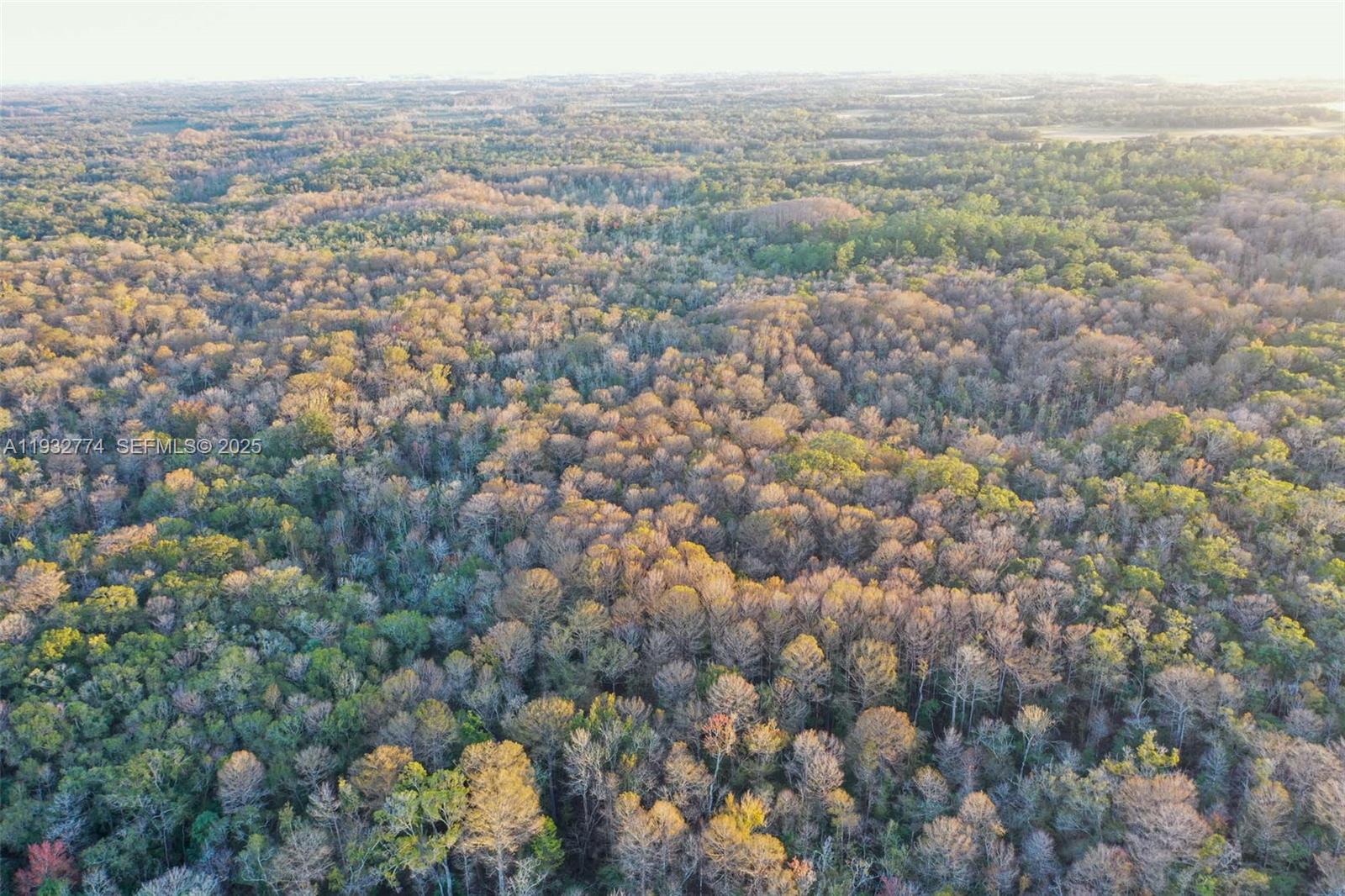 13254 E Shawnee Trl Inverness, FL 34450