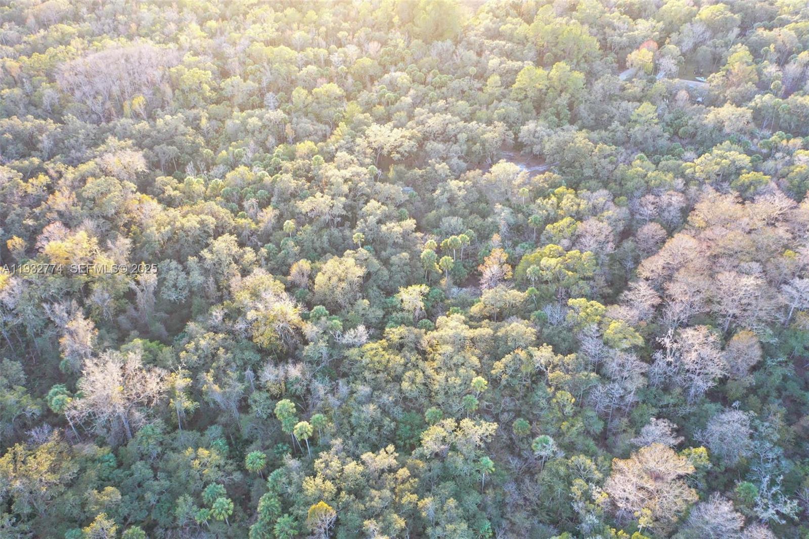 13254 E Shawnee Trl Inverness, FL 34450