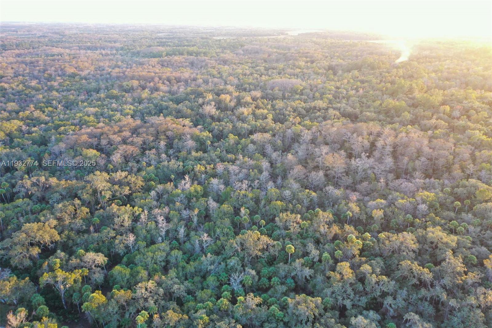 13254 E Shawnee Trl Inverness, FL 34450