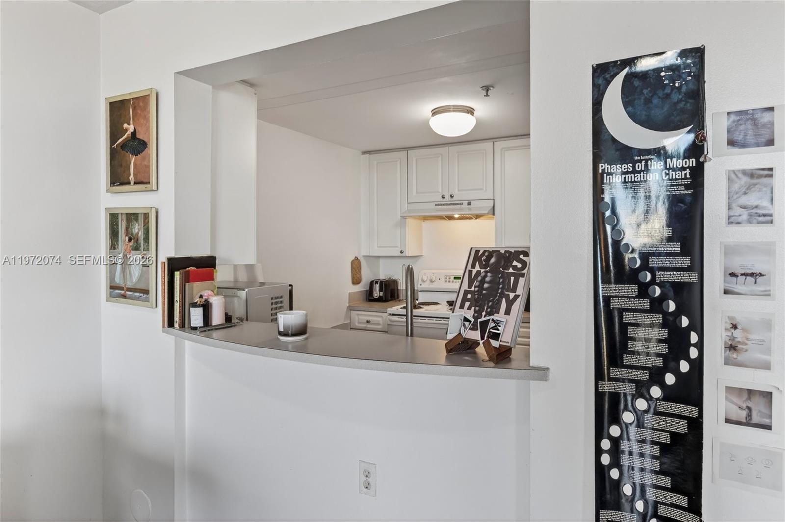 900 SW 8th St #505 Miami, FL 33130