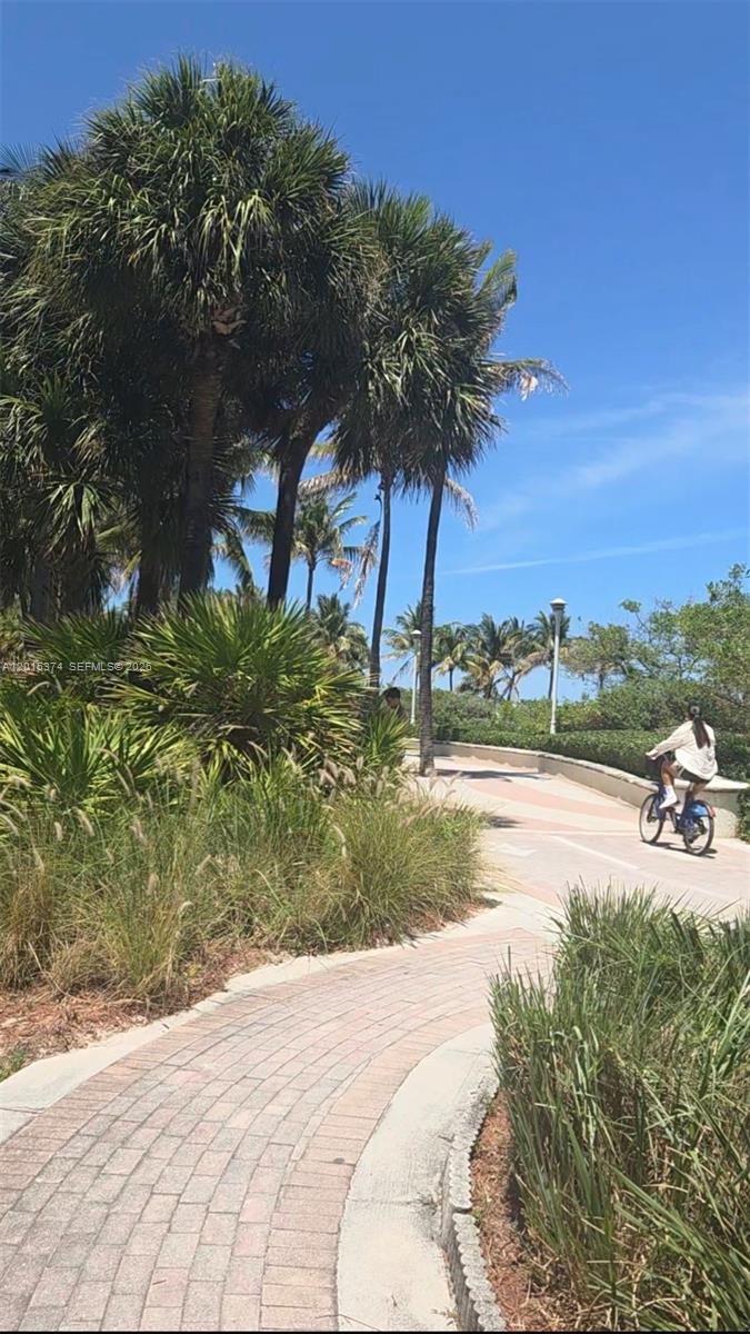 1623 Collins Ave #415 Miami Beach, FL 33139