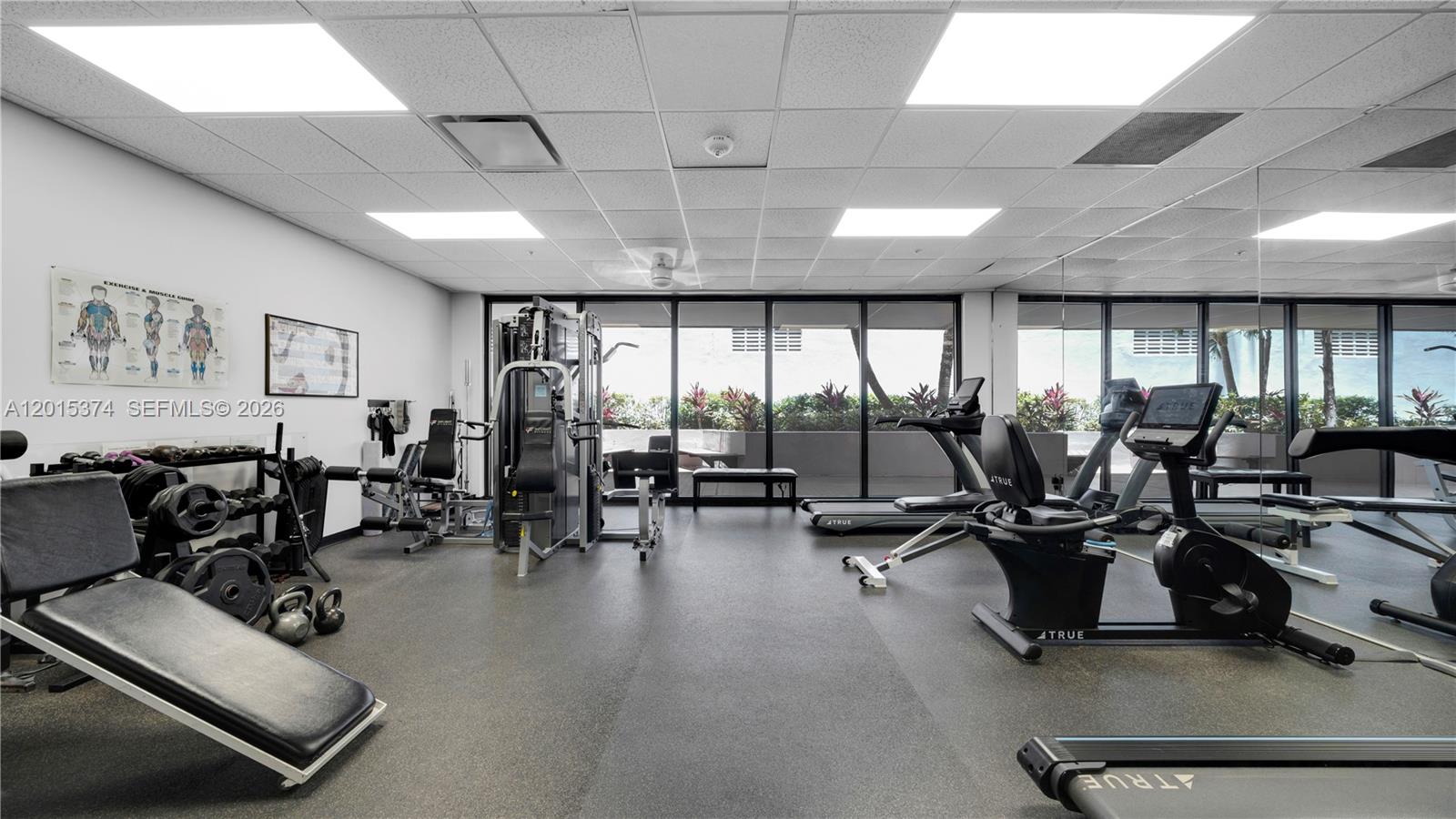 1623 Collins Ave #415 Miami Beach, FL 33139