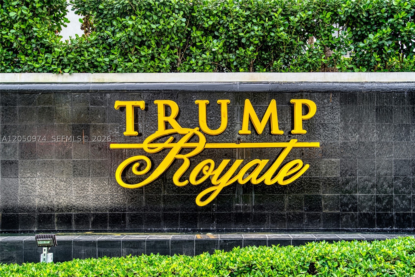 image Trump Royale59