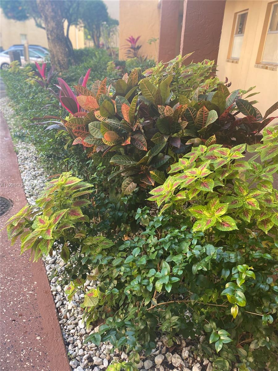 9261 Sunrise Lks Blvd #103 Sunrise, FL 33322