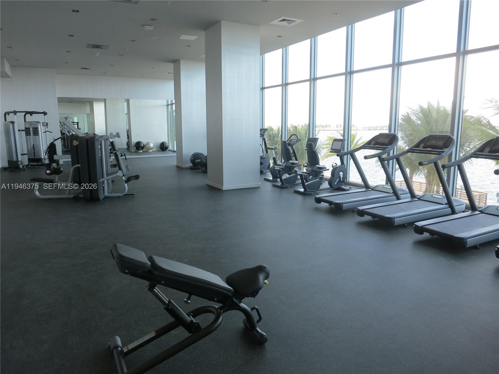 image Biscayne Beach37