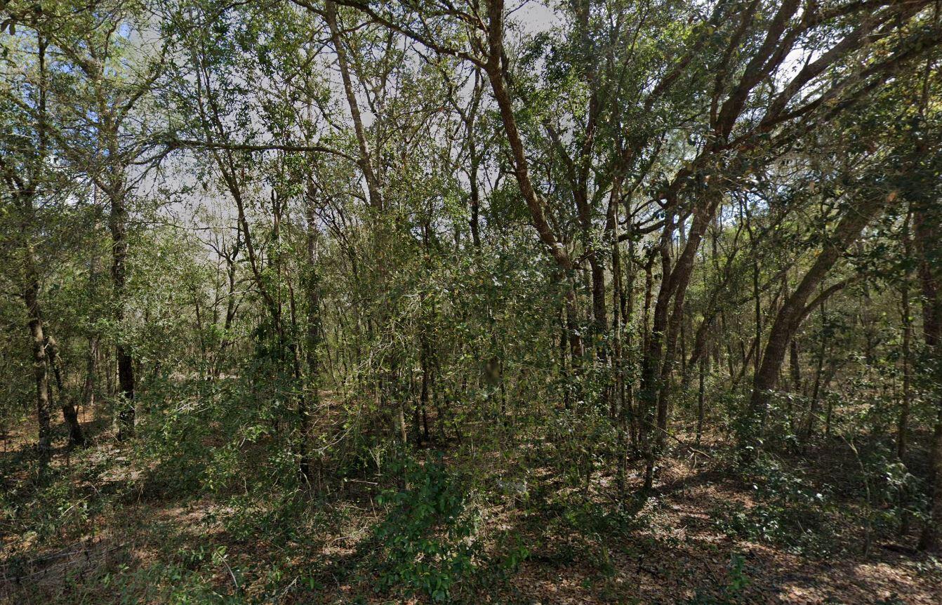 138 SE 8th Ave
