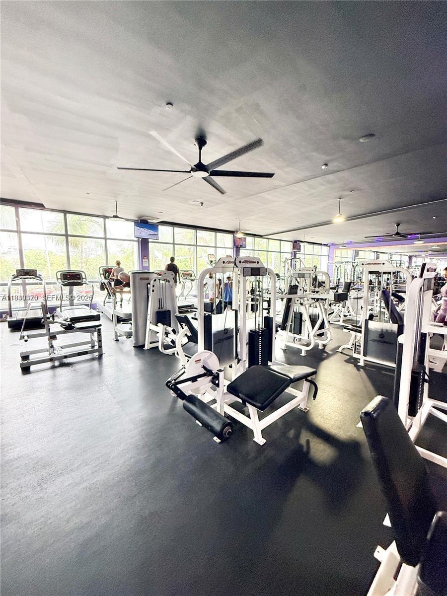 image Mirador South7