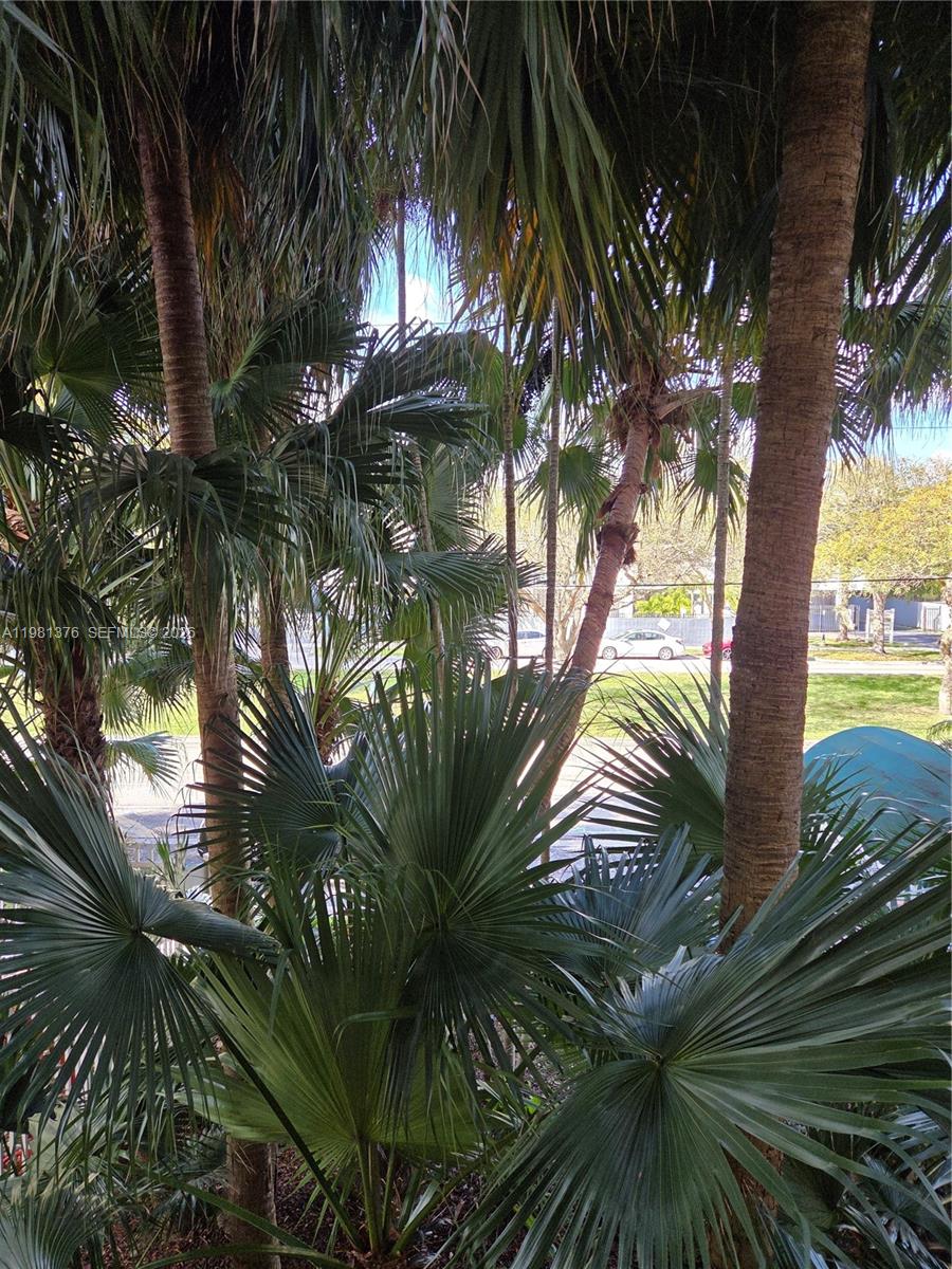 2350 NE 135th St #201 North Miami, FL 33181