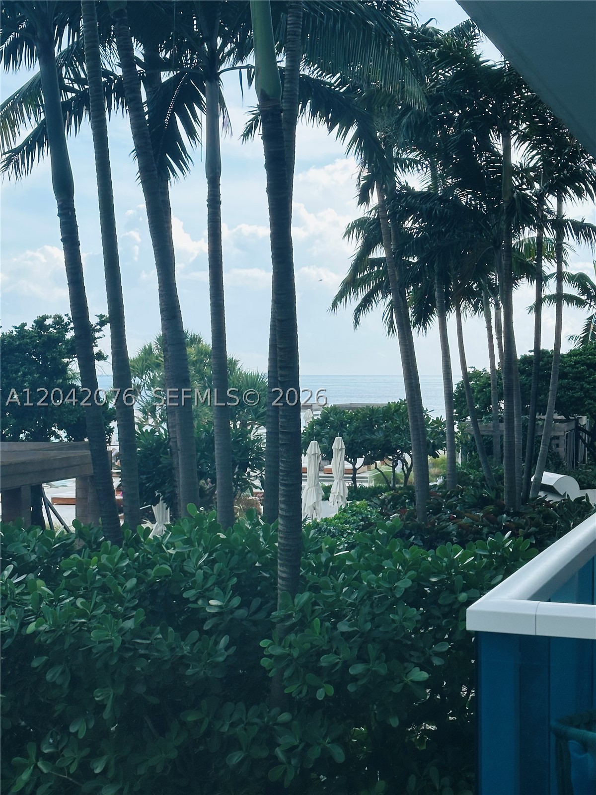 image Roney Palace8