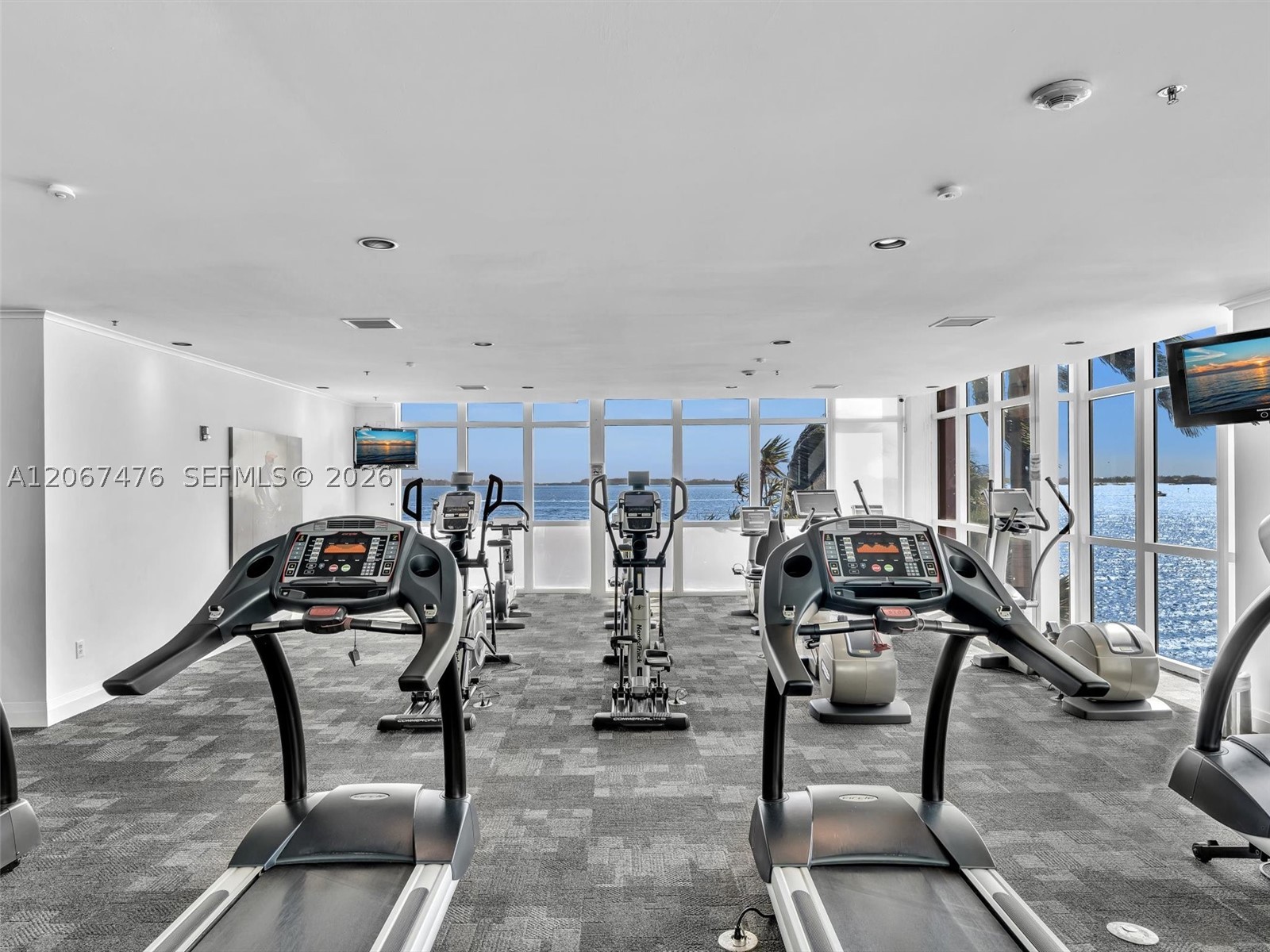 image The Mark on Brickell20