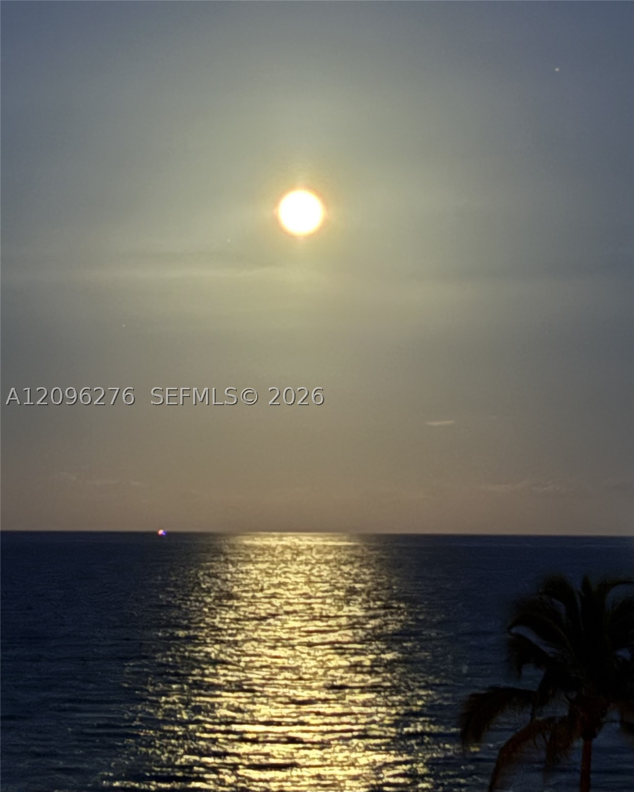 image Pinnacle55