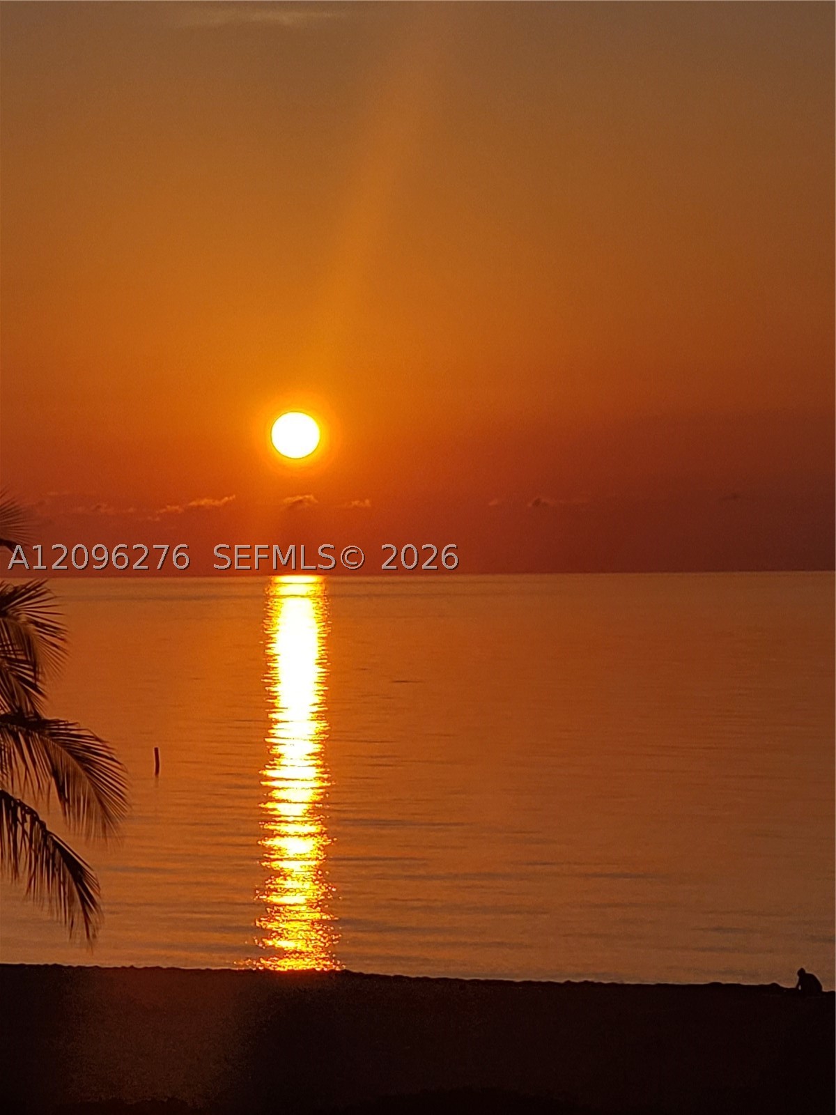 image Pinnacle69