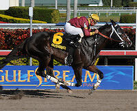 700 NE 14th #404 Hallandale Beach, FL 33009