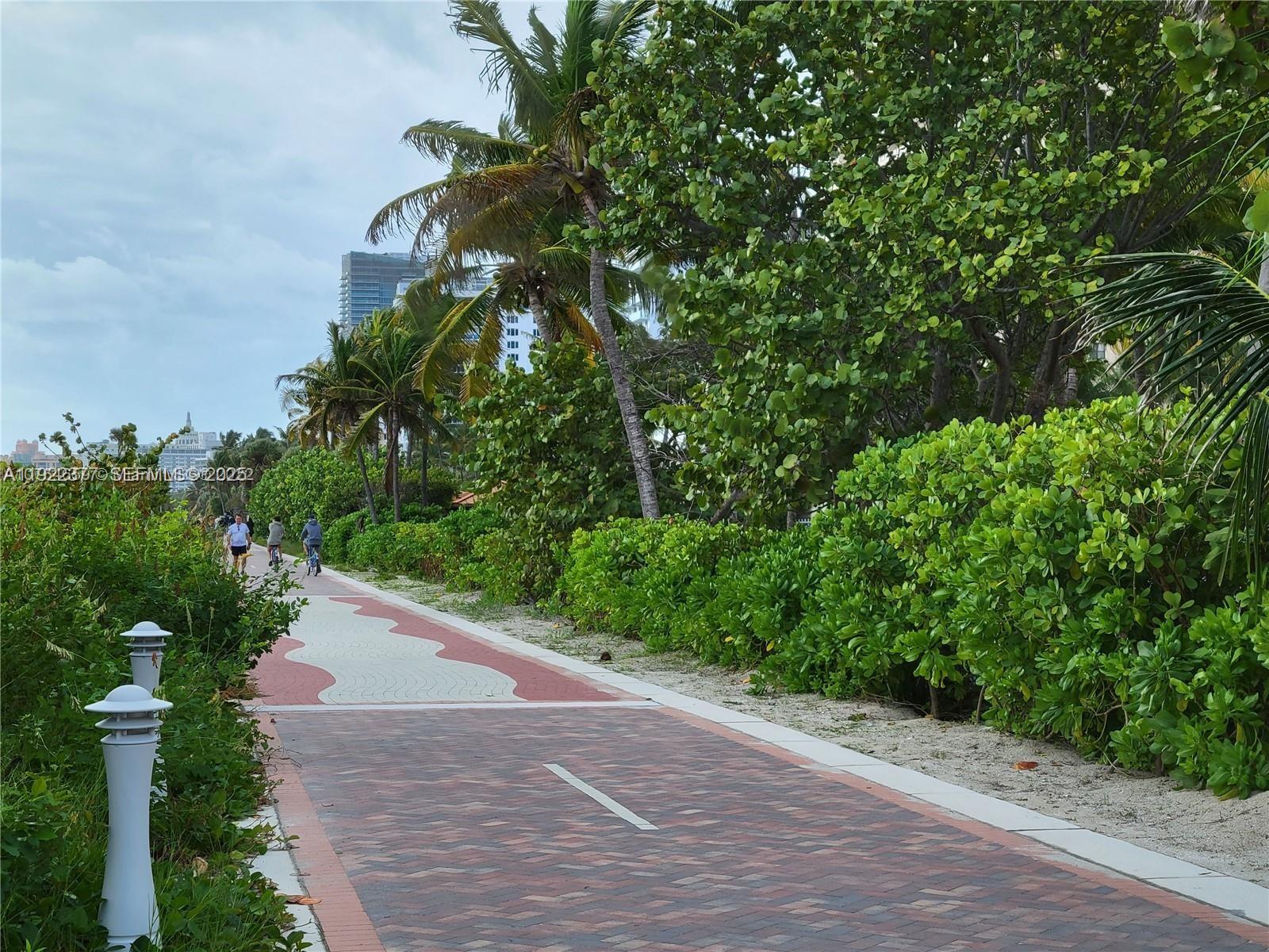 2655 Collins Ave #603 Miami Beach, FL 33140