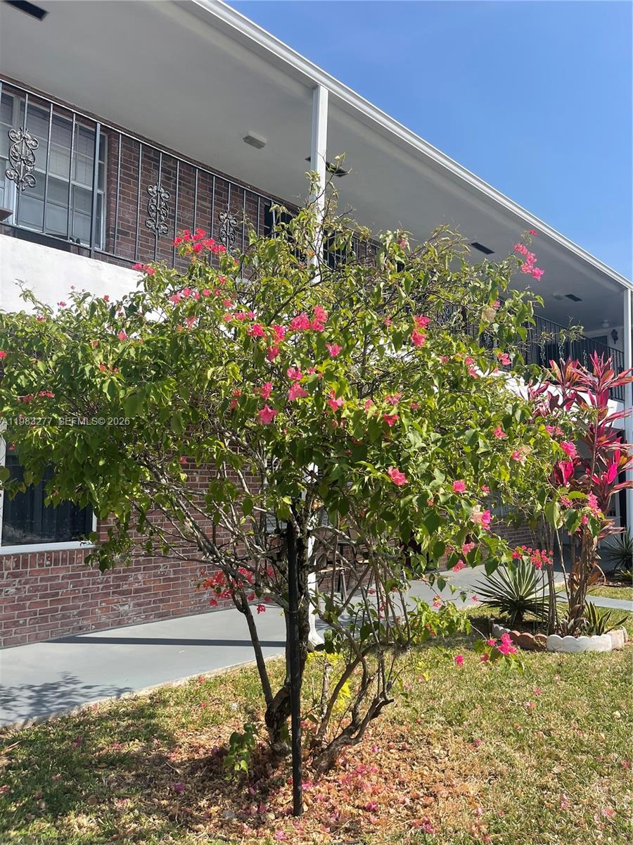 1050 Atlantic Shores Blvd #211 Hallandale Beach, FL 33009