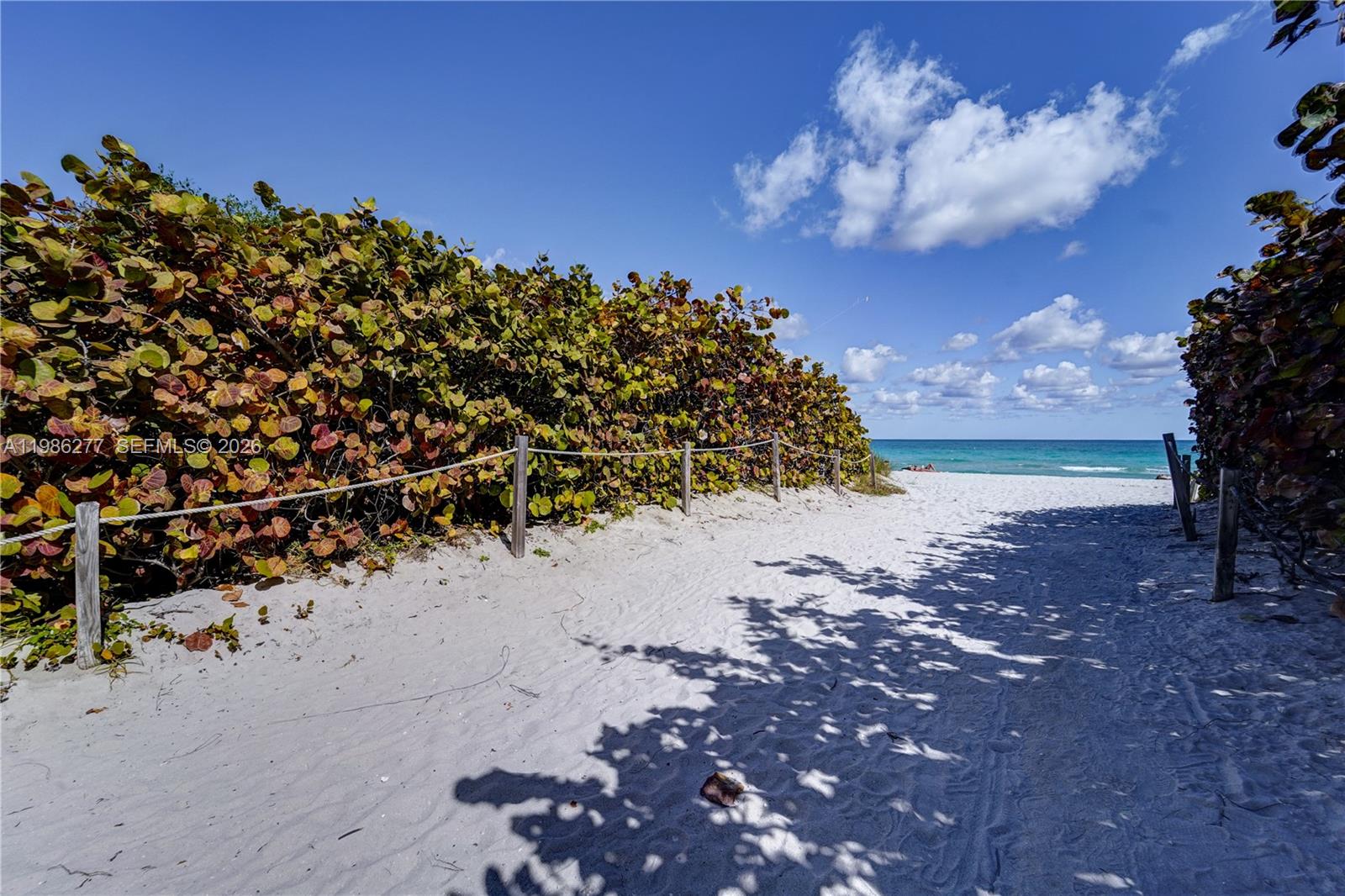 6450 Collins Ave #903 Miami Beach, FL 33141