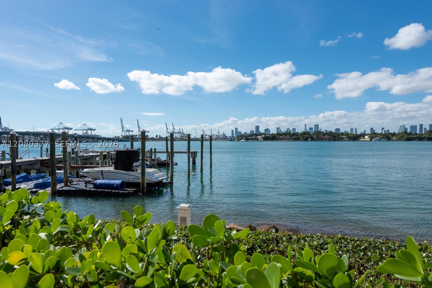 image The Floridian18