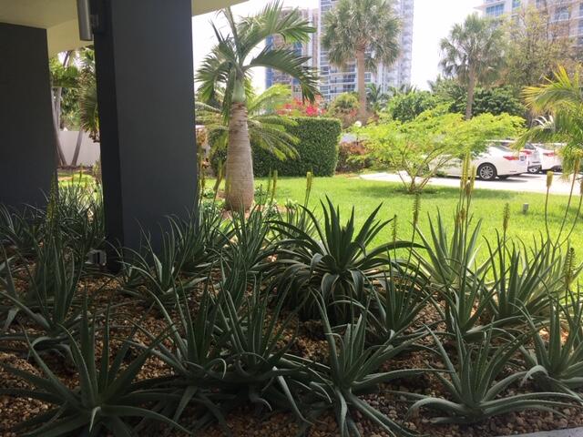 2840 N Ocean Blvd #507 Fort Lauderdale, FL 33308