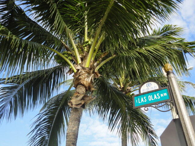 2840 N Ocean Blvd #507 Fort Lauderdale, FL 33308