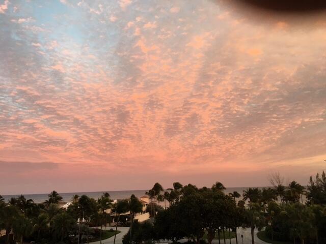 2840 N Ocean Blvd #507 Fort Lauderdale, FL 33308