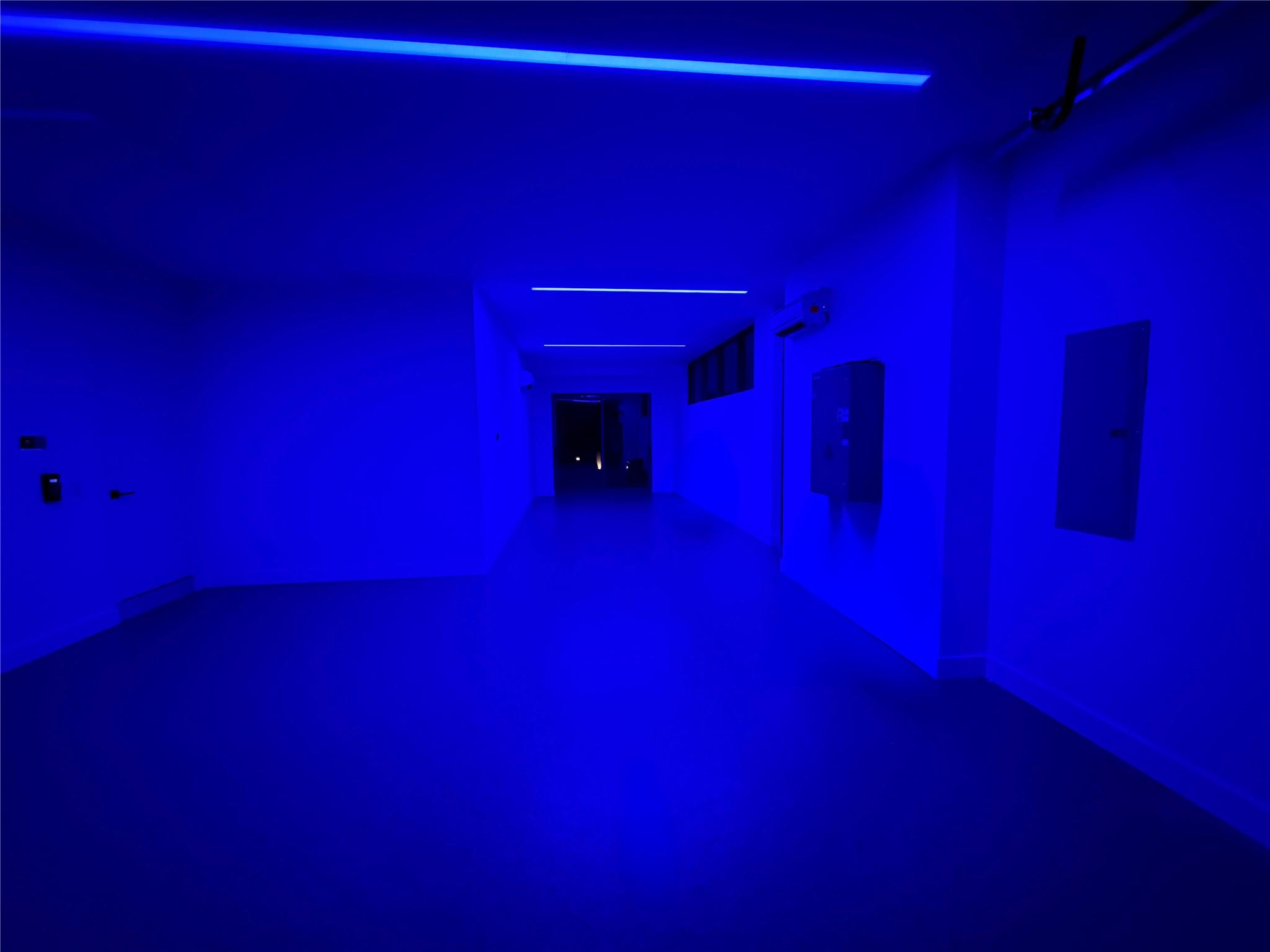 2880 NE 28th St Fort Lauderdale, FL 33306