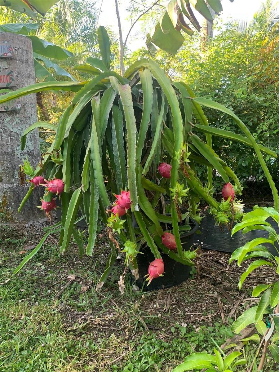 21401 SW 187th Ave Miami, FL 33187