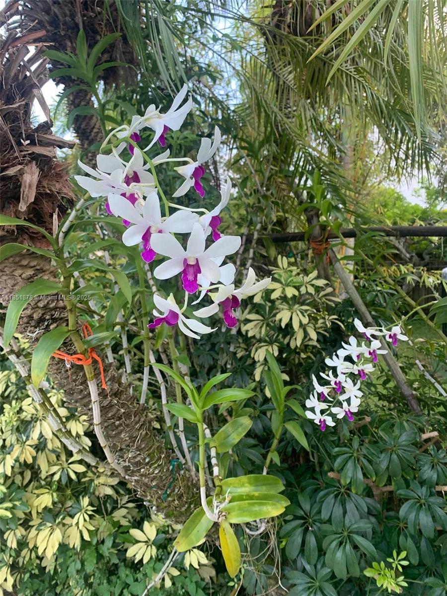 21401 SW 187th Ave Miami, FL 33187