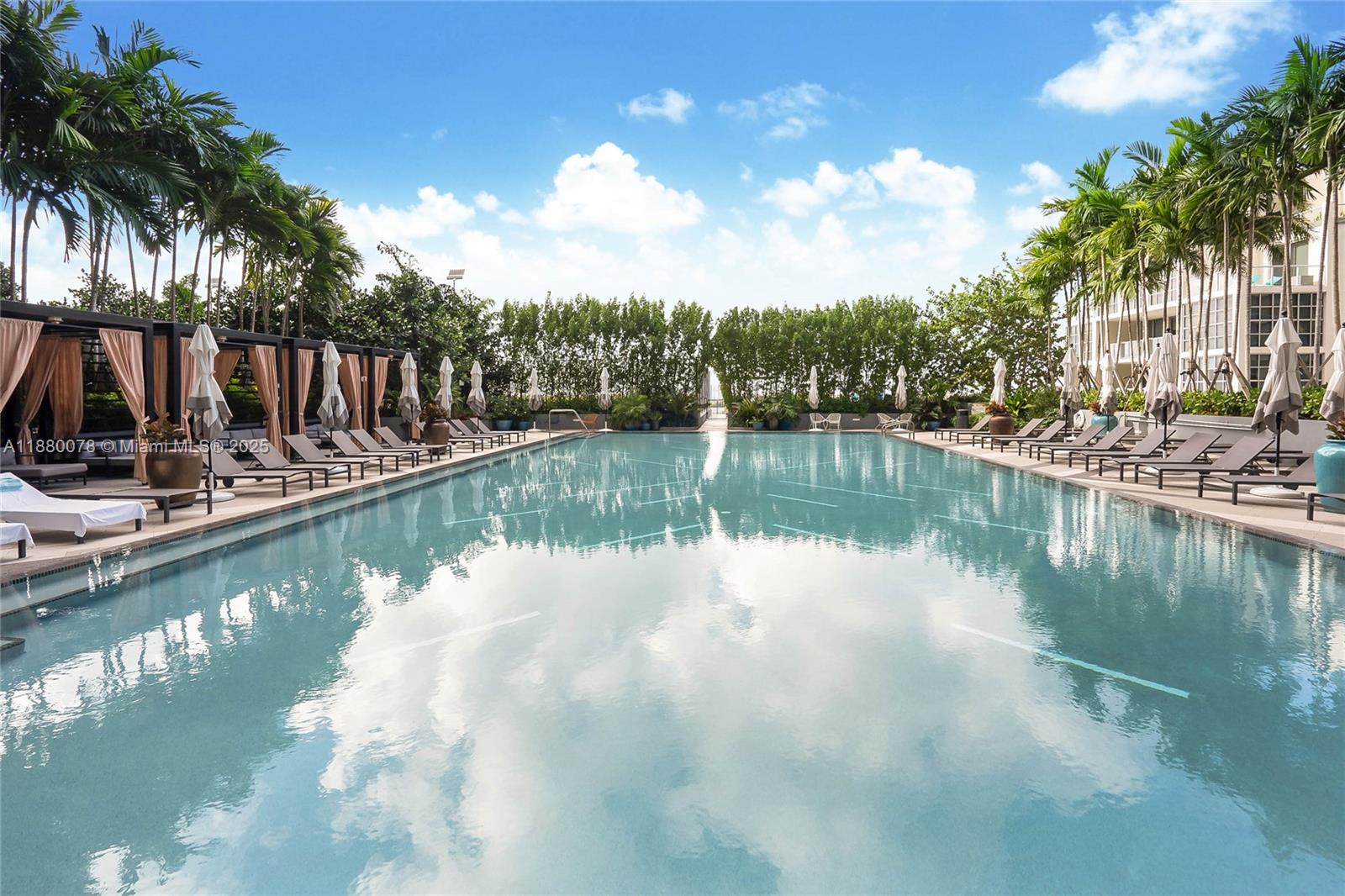 121 NE 34th St #2408 Miami, FL 33137 121 NE 34th St #2408 Miami, FL 33137