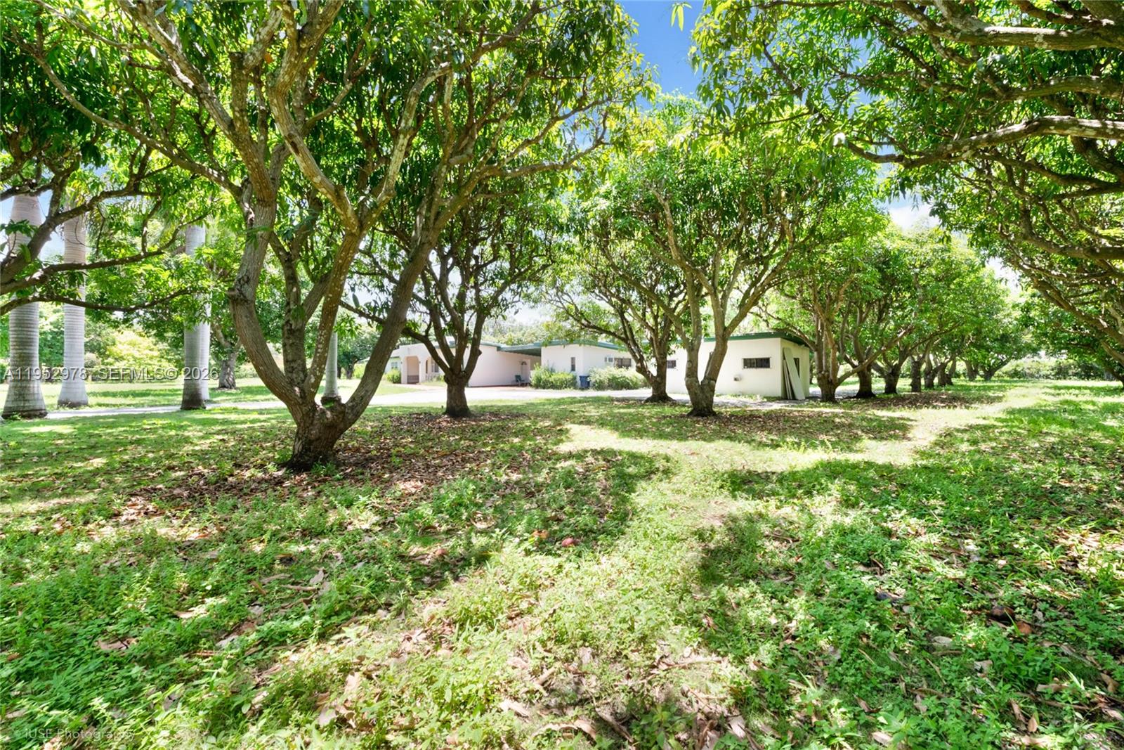 8000 SW 184th St Cutler Bay, FL 33157