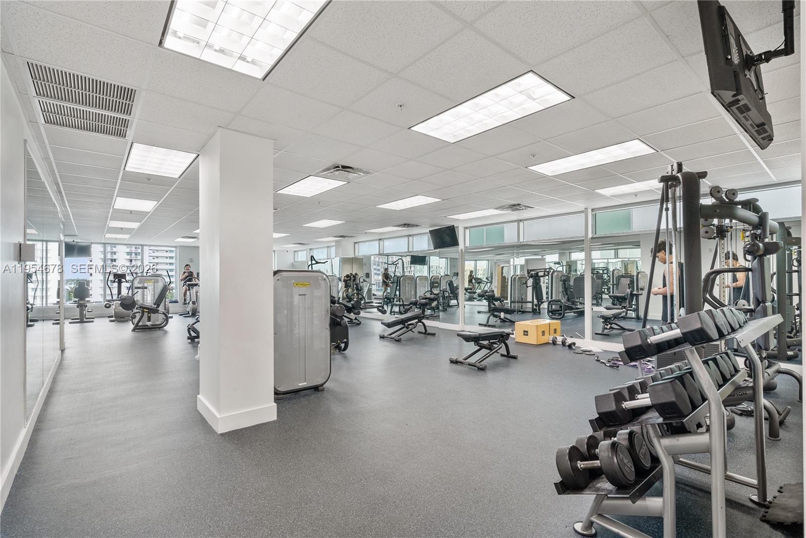 image Eloquence on the Bay23