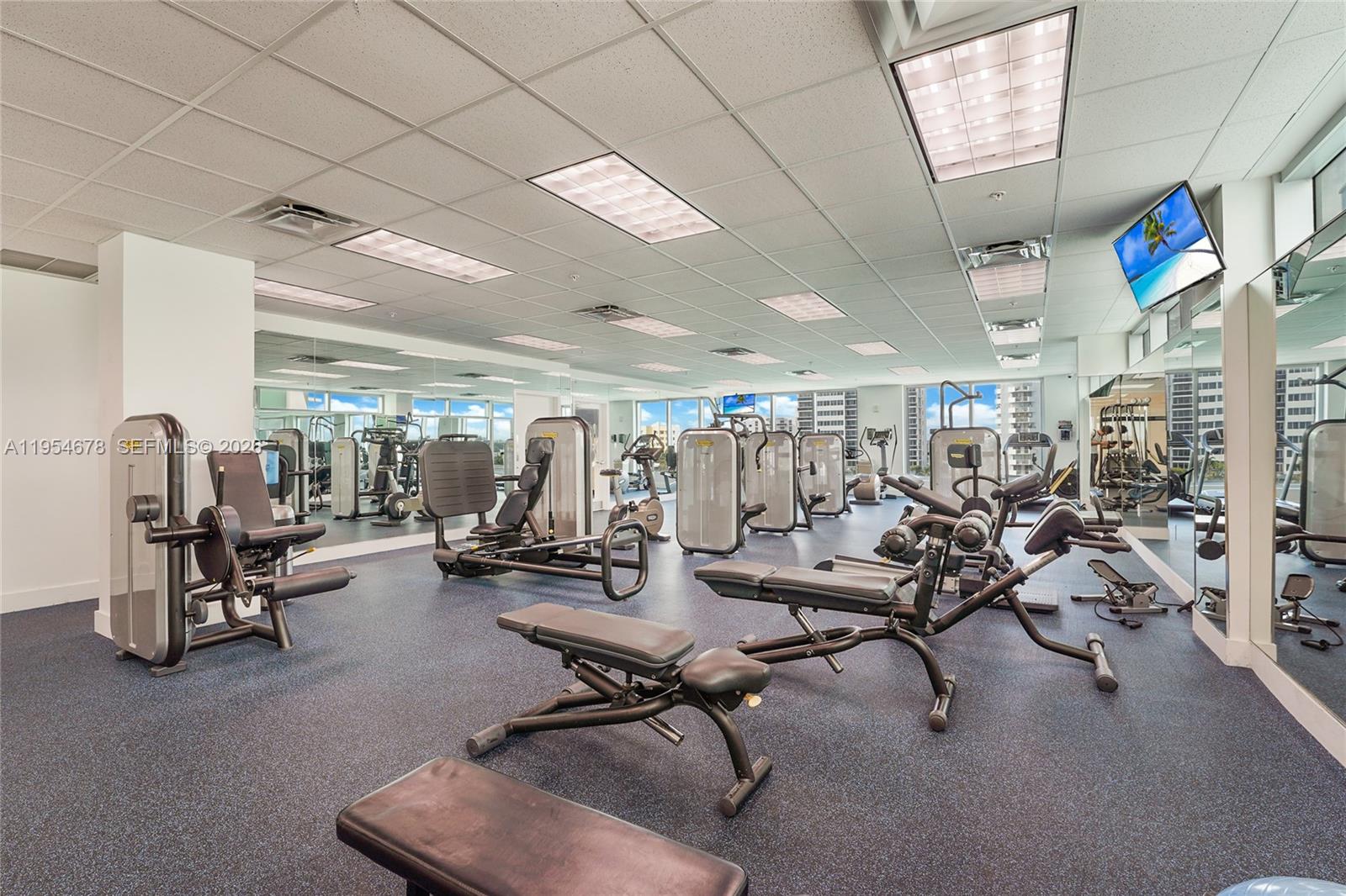 image Eloquence on the Bay24