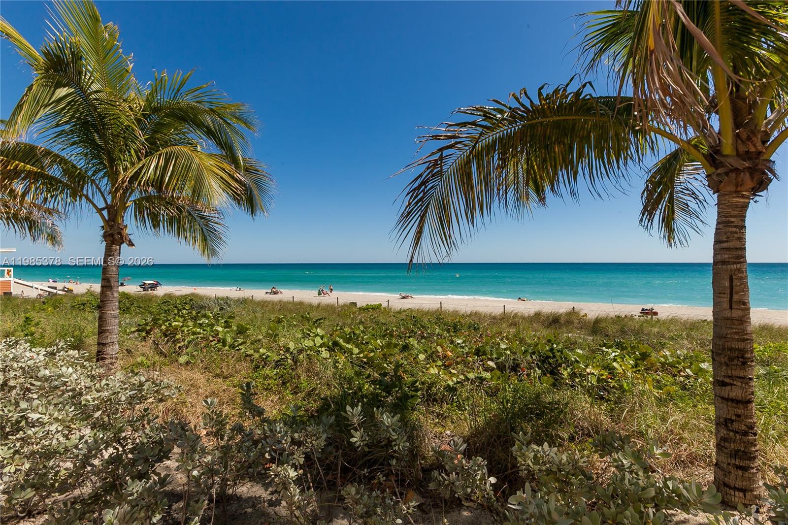 image Beach Club 245
