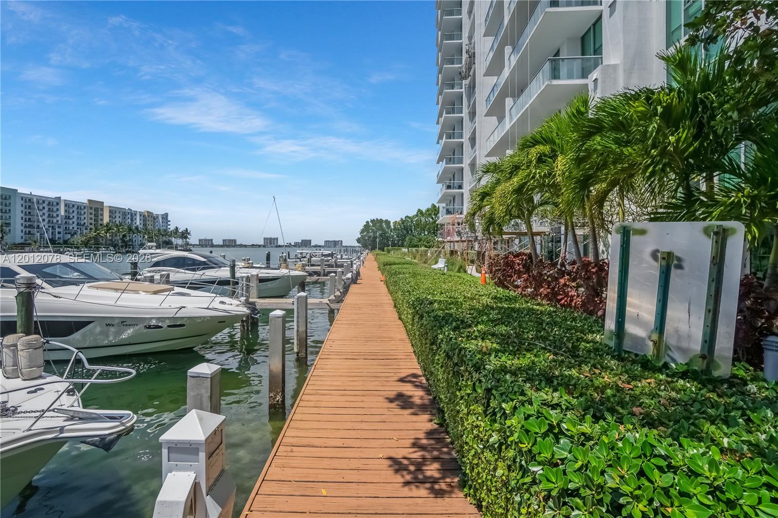 image Eloquence on the Bay44
