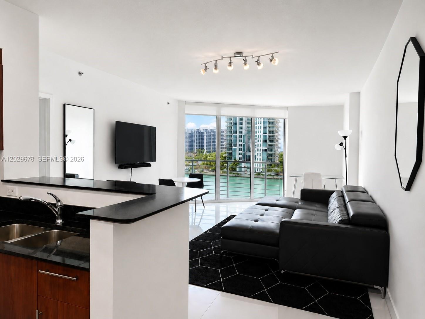 325 S Biscayne Blvd #717