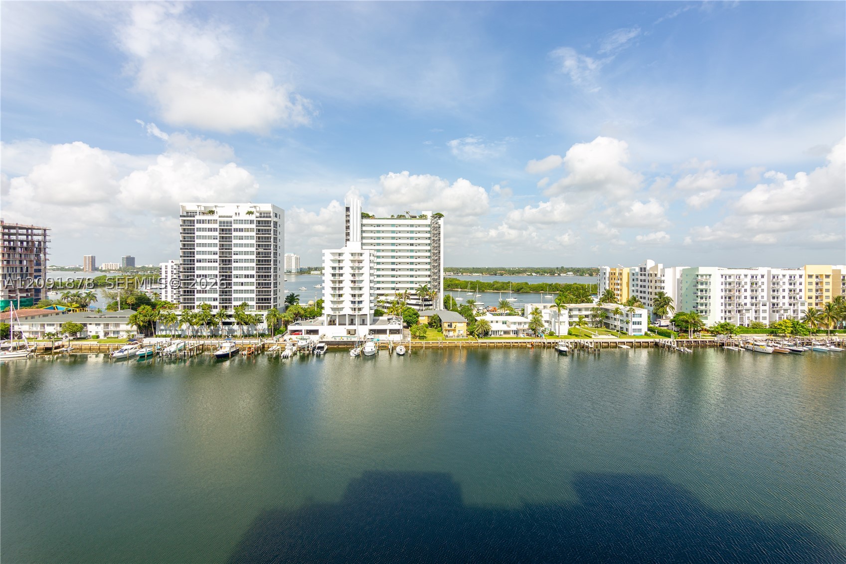image Eloquence on the Bay41