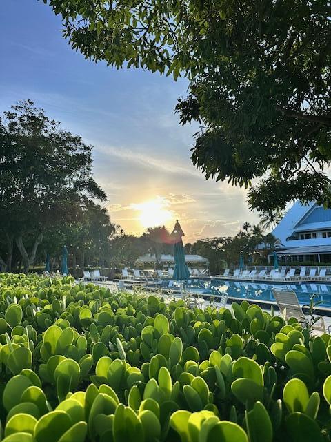 275 Palm #C305 Jupiter, FL 33477