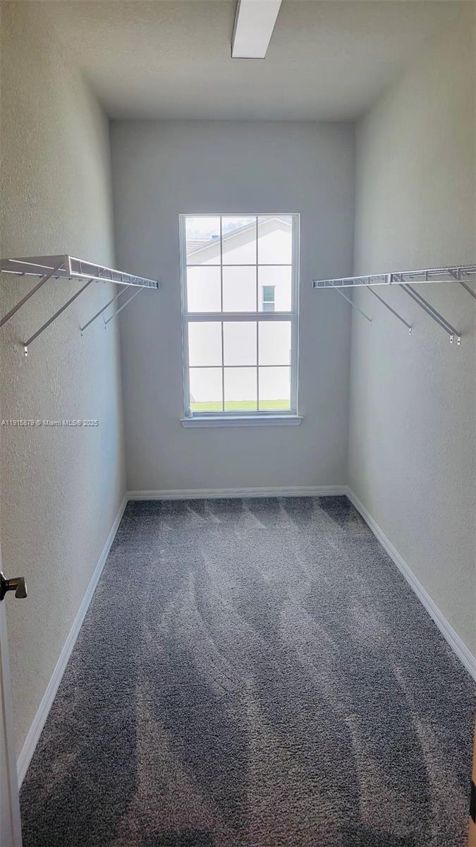 4164 Ficus St Hollywood, FL 33021