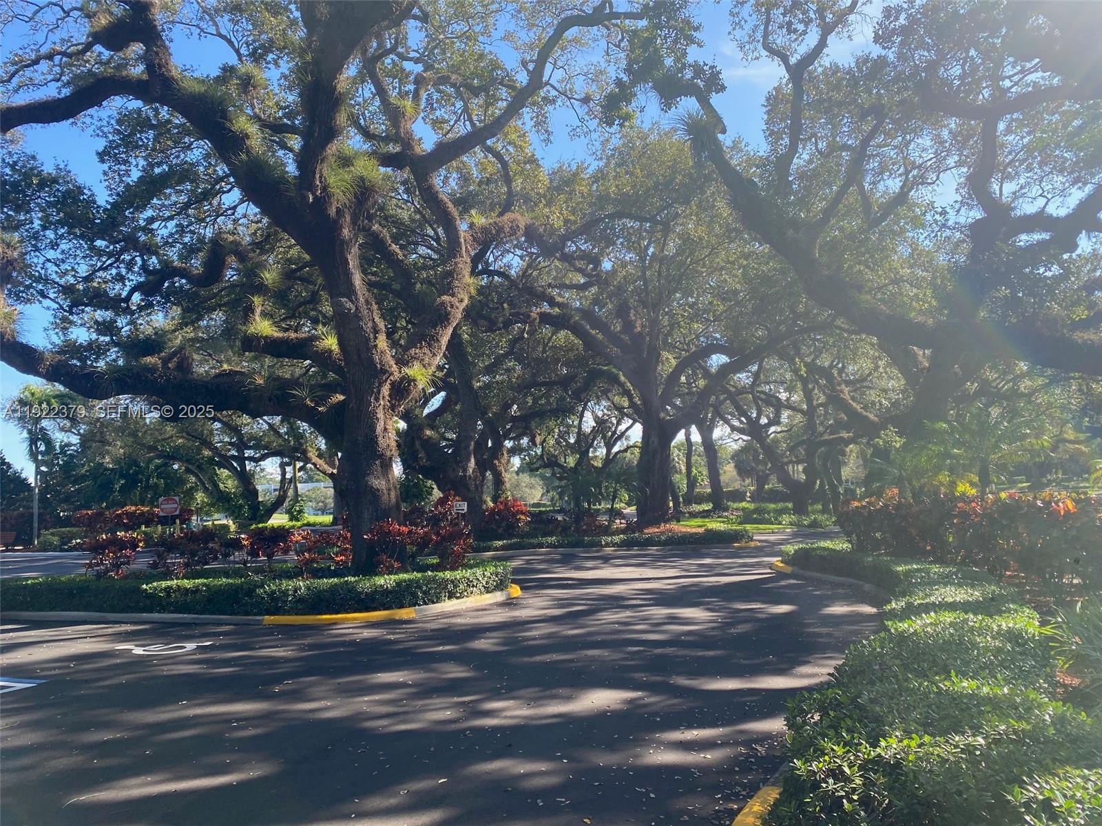 9420 Poinciana Pl #214 Davie, FL 33324