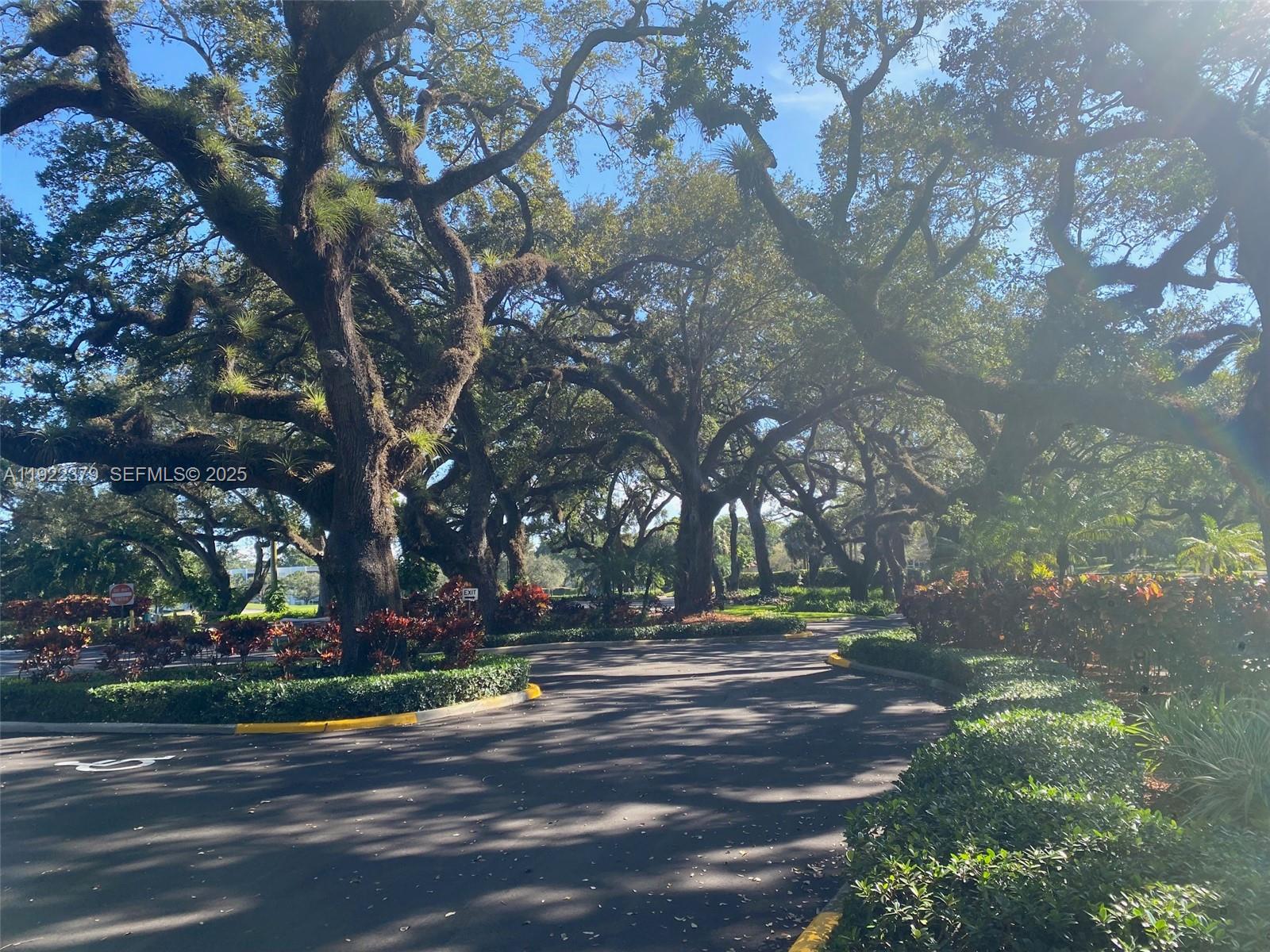 9420 Poinciana Pl #214 Davie, FL 33324