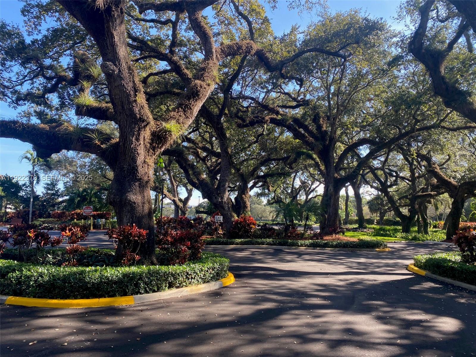 9420 Poinciana Pl #214 Davie, FL 33324