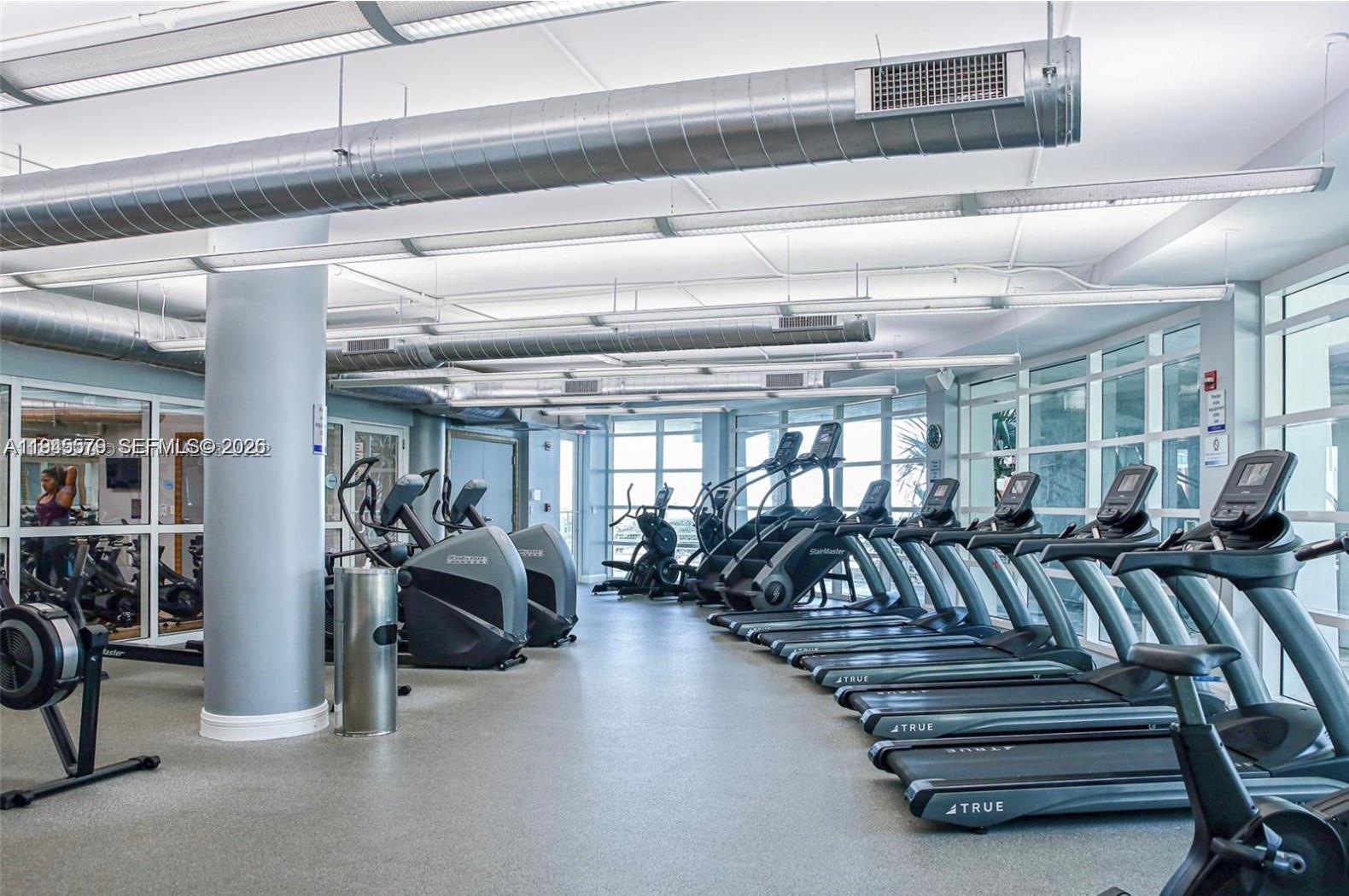 image Vizcayne North37