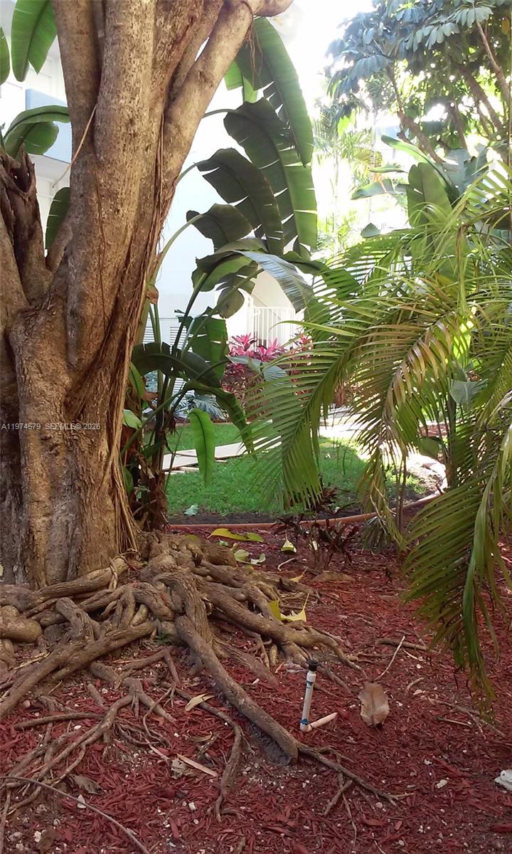 1801 S Treasure Dr #511 North Bay Village, FL 33141